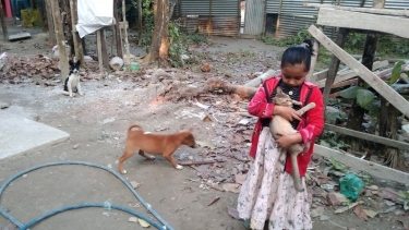 লালমোহন হাসপাতালে নেই জলাতঙ্কের ভ্যাকসিন