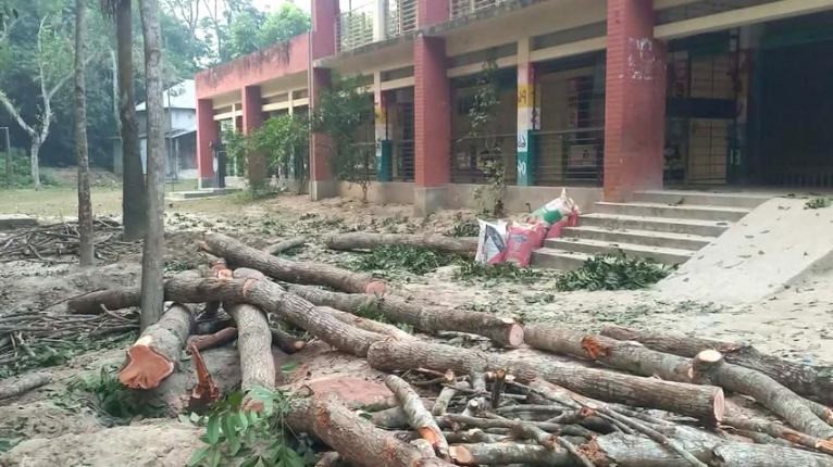 স্কুলের গাছ কাটা নিয়ে দুই পক্ষের সংঘর্ষে আহত ২০, বাড়িঘর ভাঙচুর
