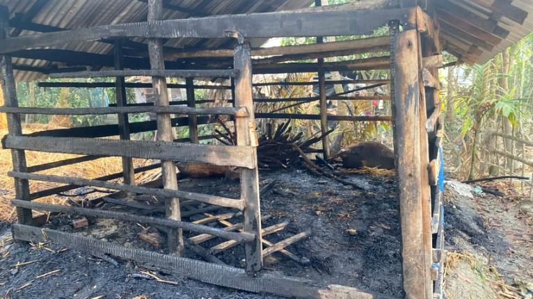 মঠবাড়িয়ায় গভীর রাতে দুর্বৃত্তদের দেয়া আগুনে কৃষকের ৩ গরুসহ গোয়ালঘর পুড়ে ছাই