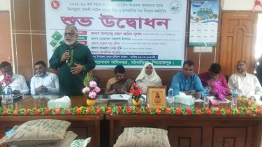 মঠবাড়িয়ায় কৃষকদের মাঝে বিনামূল্যে ধানের বীজ ও রাসায়নিক সার বিতরণ
