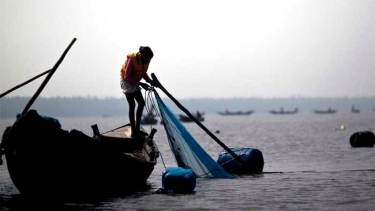 সুন্দরবনে পারশে পোনা নিধন অব্যাহত, হুমকিতে জলজ প্রাণবৈচিত্র্য