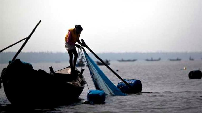 সুন্দরবনে পারশে পোনা নিধন অব্যাহত, হুমকিতে জলজ প্রাণবৈচিত্র্য