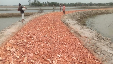 কয়রায় সড়ক নির্মাণে নিম্নমানের খোয়া