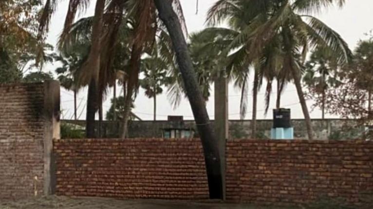 কুয়াকাটায় সরকারি খাস জমির গাছ কেটে বিক্রি, শ্রমিকদল নেতাসহ ৪ জনের বিরুদ্ধে মামলা