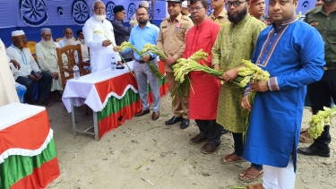 আমতলীতে বীরমুক্তিযোদ্ধাদের সংবর্ধনা