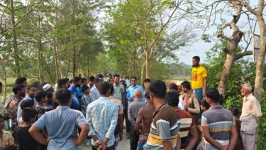 কলাপাড়ায় প্রশাসনের হস্তক্ষেপে বেআইনি মহিষের লড়াই বন্ধ