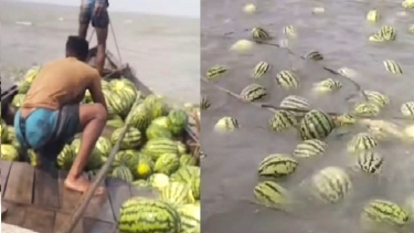 রাঙ্গাবালীতে নদীতে ভেসে গেলো কৃষকের তরমুজ