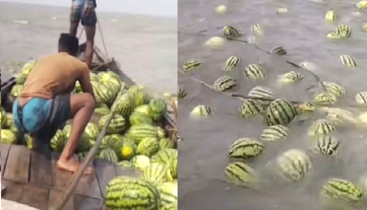 রাঙ্গাবালীতে নদীতে ভেসে গেলো কৃষকের তরমুজ