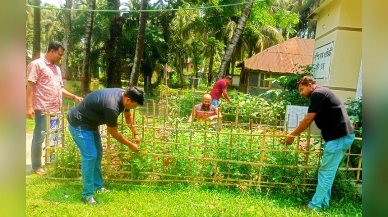 কাউখালী থানা প্রাঙ্গণে ওসির উদ্যোগে সবজি চাষ