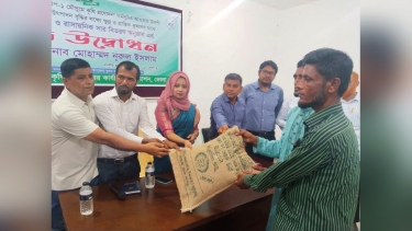 চরফ্যাসনে ১৩ হাজার কৃষকের মাঝে বিনামূল্যে বীজ ও সার বিতরণ