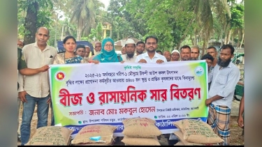 কাঁঠালিয়ায় ক্ষুদ্র প্রান্তিক চাষীদের মাঝে বিনামুলে সার-বীজ বিতরণ