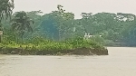 কাউখালীর নদীভাঙনে বিলুপ্তির পথে আশোয়া গ্রাম