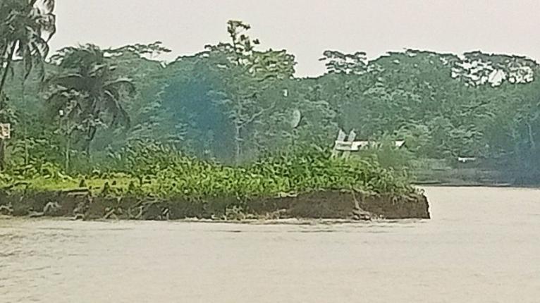 কাউখালীর নদীভাঙনে বিলুপ্তির পথে আশোয়া গ্রাম