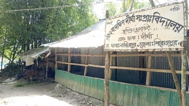 নাজিরপুরে চারজন শিক্ষকের ৫ জন শিক্ষার্থী, স্কুলঘেঁষে মা‌ঠে র‌য়ে‌ছে গরুঘর