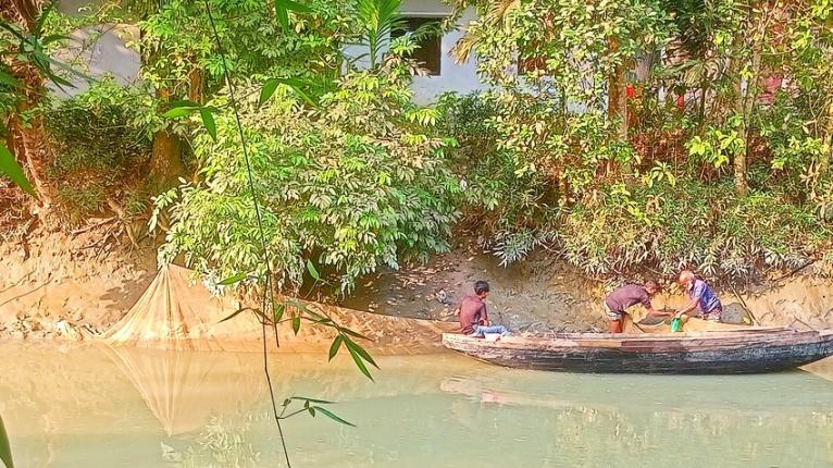 কাউখালীর নদ-নদীতে নিষিদ্ধ চরগড়া জালে মাছ নিধন