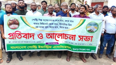 ভূঞাপুরে পোল্ট্রি খামারিদের লোকসান কমাতে প্রধান মন্ত্রীর হস্তক্ষেপ কামনা
