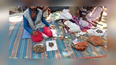 ভেড়ামারায় সোলেমান শাহ মাজারে বসছে মদকে পরশা, প্রশাসনের অভিযানেও ব্যার্থ