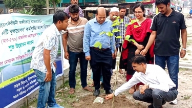 নীলফামারীতে সড়ক বিভাগের বৃক্ষরোপণ কর্মসূচি
