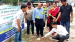 নীলফামারীতে সড়ক বিভাগের বৃক্ষরোপণ কর্মসূচি