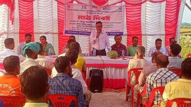 কাউখালীতে কৃষি সম্প্রসারণ অধিদপ্তরের উদ্যোগে মাঠ দিবস
