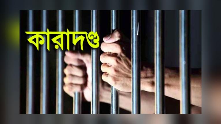 ভূঞাপুরে  দুই চালকের কারাদণ্ড