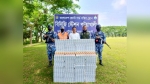 পটুয়াখালীতে যৌথ অভিযানে বিপুল পরিমাণ নকল সিগারেট জব্দ