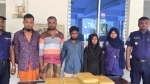 কলাপাড়ায় ১২ কেজি গাঁজাসহ ৪ মাদক ব্যবসায়ী আটক