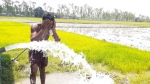 বাউফলে প্রচণ্ড তাপ দাহে হাঁস ফাঁস মানুষ