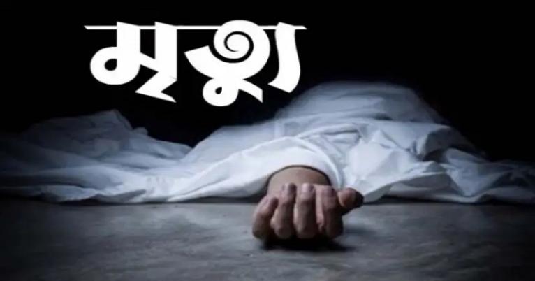 বড় ভাইয়ের দাফন করে বাড়ি ফিরে ছোট ভাইয়ের মৃত্যু