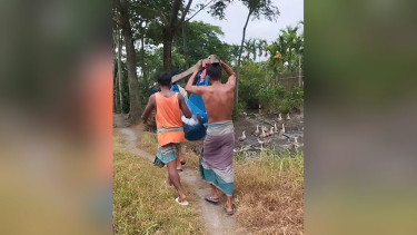 <small>সড়ক না থাকায় </small> নেটে ঝুলিয়ে হাসপাতালে নিলো অসুস্থ রুগী