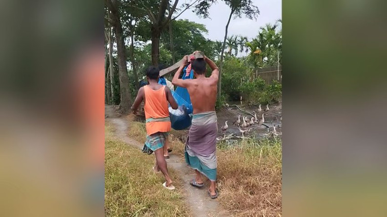 বাঁশে ঝুলে হাসপাতালে নিলো অসুস্থ রুগী