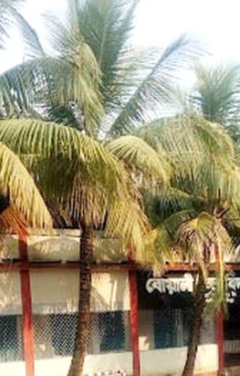 কালীগঞ্জের বোয়ালী উচ্চ বিদ্যালয়ের প্রধান শিক্ষিকার সীমাহীন অনিয়ম ও দুর্নীতি