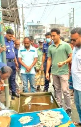 ভেড়ামারায় জেলি মিশ্রিত চিংড়ি বিক্রির দায়ে ব্যবসায়ীর জরিমানা, চিংড়ি ধ্বংস