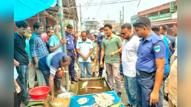 ভেড়ামারায় জেলি মিশ্রিত চিংড়ি বিক্রির দায়ে ব্যবসায়ীর জরিমানা, চিংড়ি ধ্বংস
