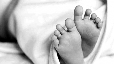 নাজিরপুরে মায়ের সঙ্গে নানা বাড়িতে বেড়াতে এসে পানিতে ডুবে দুই ভাইয়ের মৃত্যু