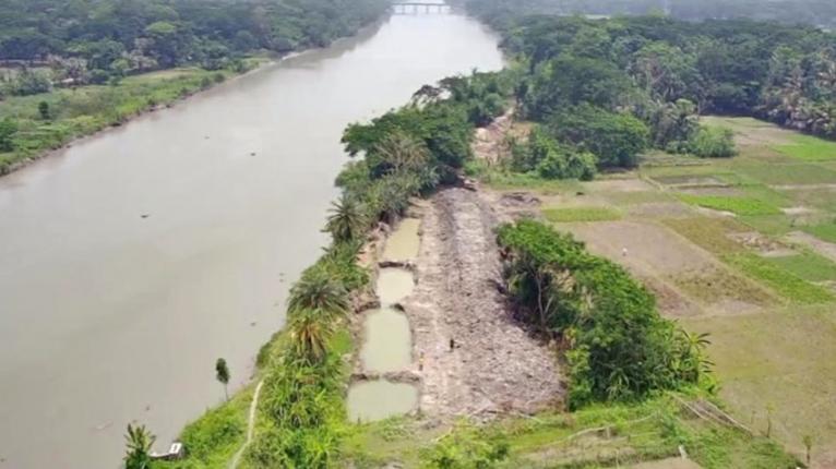 পটুয়াখালীতে জমি দখল করে গাছ কেটে বেড়িবাঁধ নির্মাণের অভিযোগ