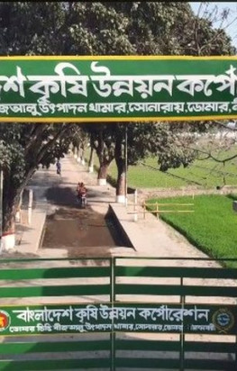 ডোমার ভিত্তি বীজআলু উৎপাদন খামারে জনবল পাশাপাশি যন্ত্রপাতি সংকটে