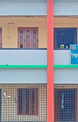 কালীগঞ্জের সেই প্রধান শিক্ষিকার বিরুদ্ধে উপজেলা প্রশাসনের তদন্ত কমিটি