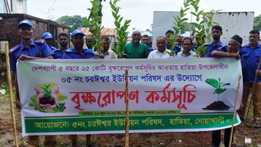 হাতিয়ায় বৃক্ষরোপন কর্মসূচী উদ্বোধণ