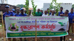 হাতিয়ায় বৃক্ষরোপন কর্মসূচী উদ্বোধণ