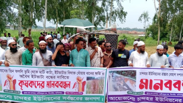 সিংগাইরে ফসলি জমি থেকে অবৈধভাবে ইটভাটায় মাটি কাটার প্রতিবাদে মানববন্ধন