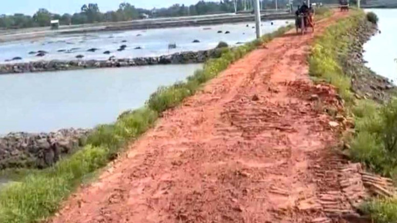 দুই যুগেও সংস্কার হয়নি পাইকগাছার খড়িয়া-বাইনতলা সড়ক