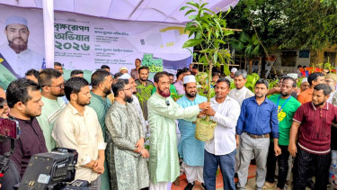 প্লাস্টিকের বোতল জমা দিলেই মিলছে গাছের চারা