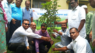 ভেড়ামারায় বর্ণাঢ্য আয়োজনে শুরু হলো বৃক্ষরোপণ অভিযান