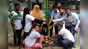 পাইকগাছায় ইয়ুথ ফর দি সুন্দরবনের উদ্যোগে বৃক্ষরোপণ ও গাছের চারা বিতরণ