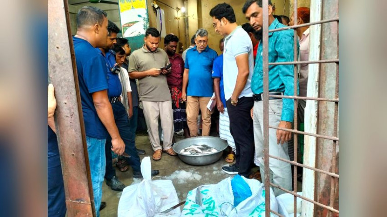 ভেড়ামারায় অভিযানে ৬৪ কেজি জাটকা জব্দ, জরিমানা
