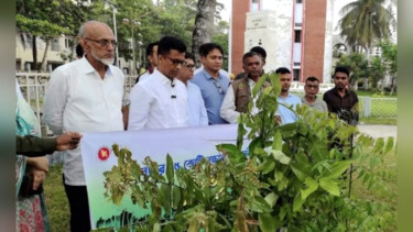 পিরোজপুরে ‘৫ বছরে ২৫ কোটি বৃক্ষরোপণ’ মেগা কর্মসূচির শুভ উদ্বোধন