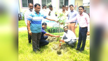 দোহারে ৫ বছরে ২৫ কোটি বৃক্ষরোপন কর্মসূচীর উদ্বোধন