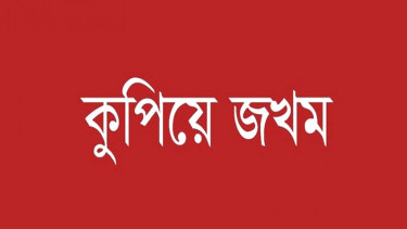 পাইকগাছায় বিধবা বৃদ্ধা নারীকে কুপিয়ে জখম
