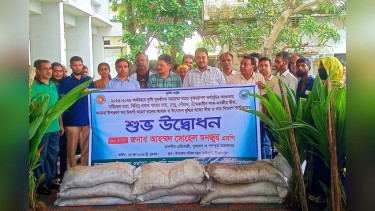 কাউখালীতে ৪২০ কৃষকের মাঝে ২১০০ নারকেল চারা বিতরণ